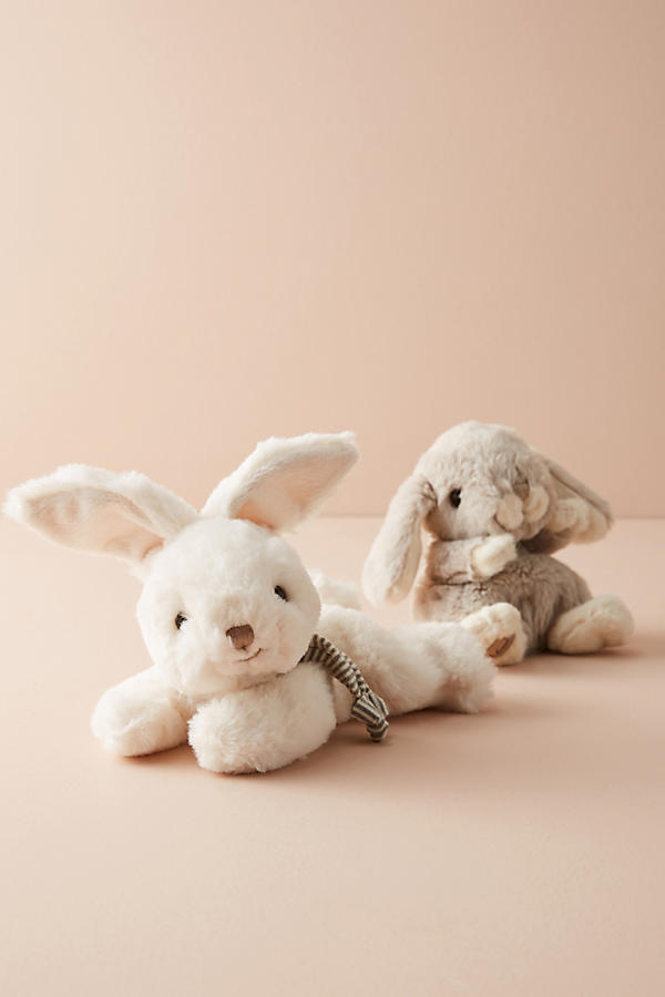 Slide View: 2: Mini Bunny