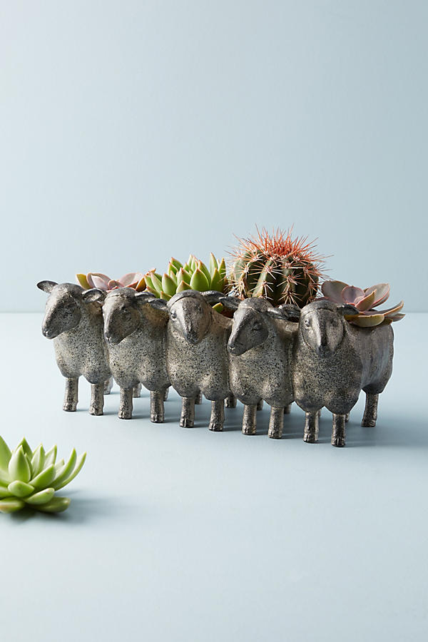 Slide View: 1: Row of Sheep Planter