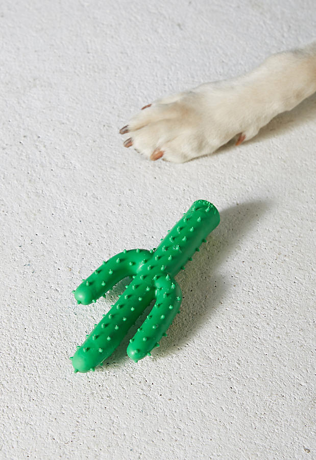 Slide View: 2: Cactus Chew Toy