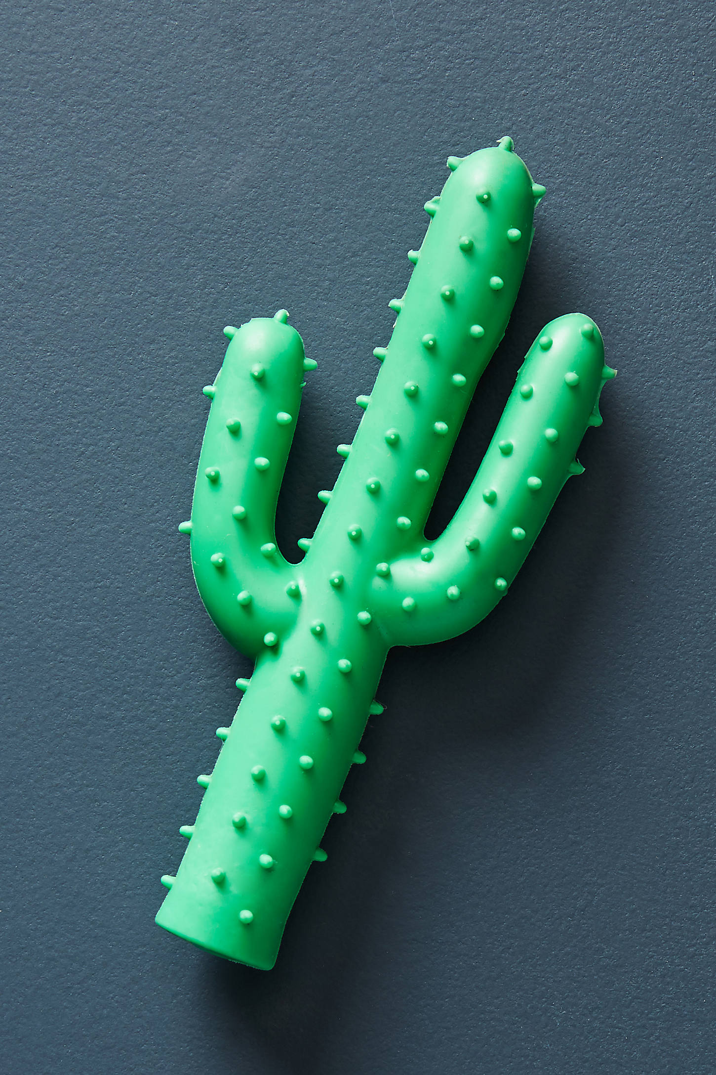 Cactus Dog Toy
