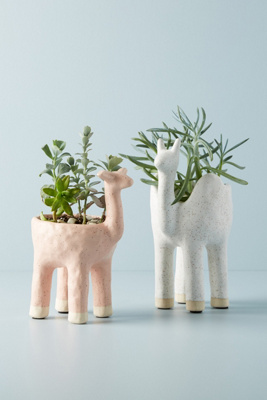 Cute Animal Pots | Anthropologie