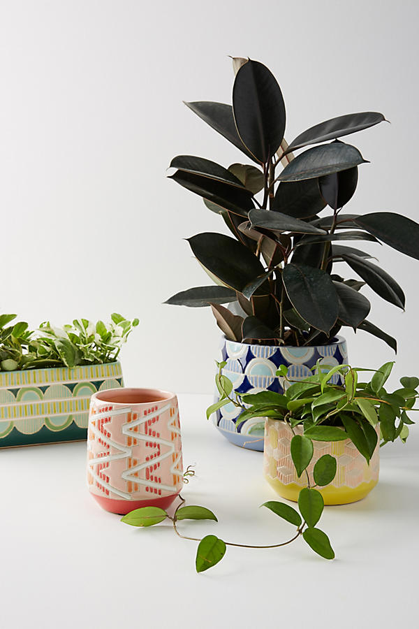 Slide View: 2: Bright Geo Pot
