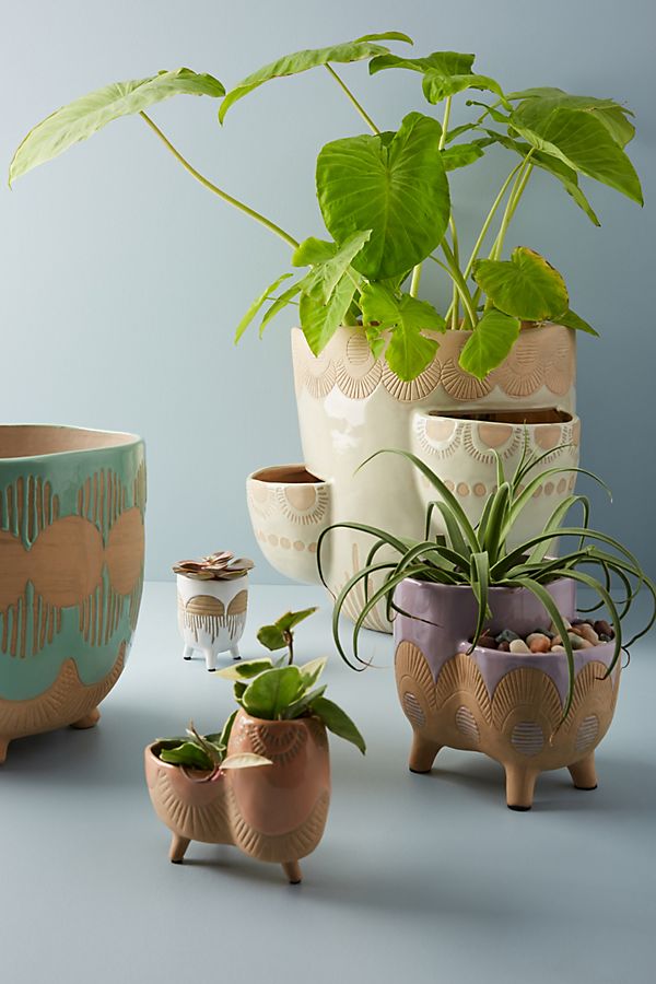Slide View: 2: Waterloo Pot