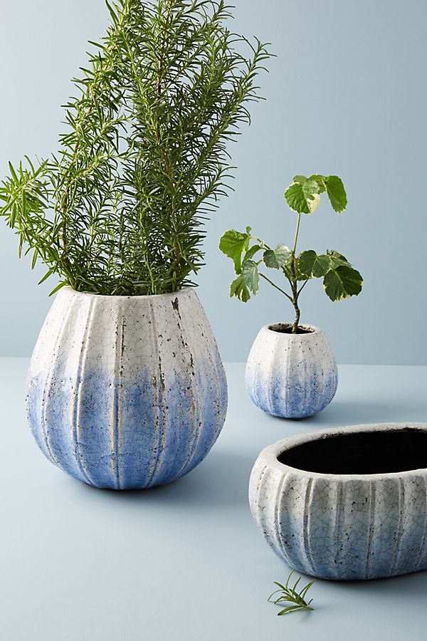 Slide View: 7: Glazed Indigo Pot
