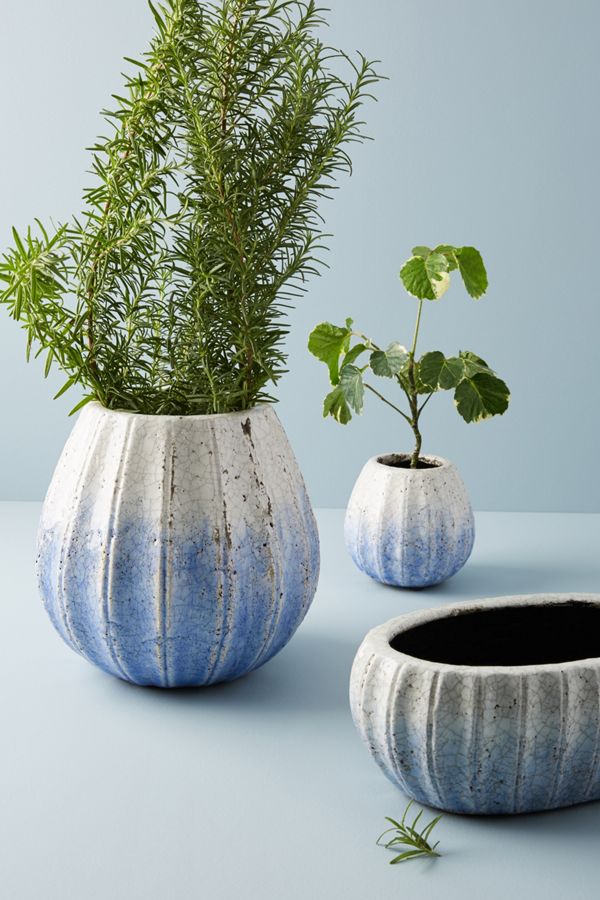 French style seasonal decor with classic themes and opulence.