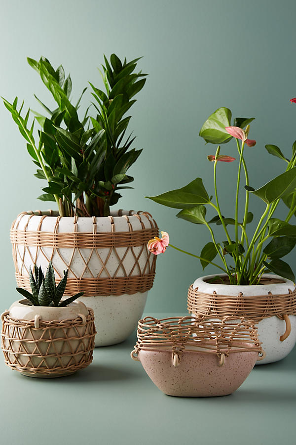 Slide View: 3: Sun Porch Pot