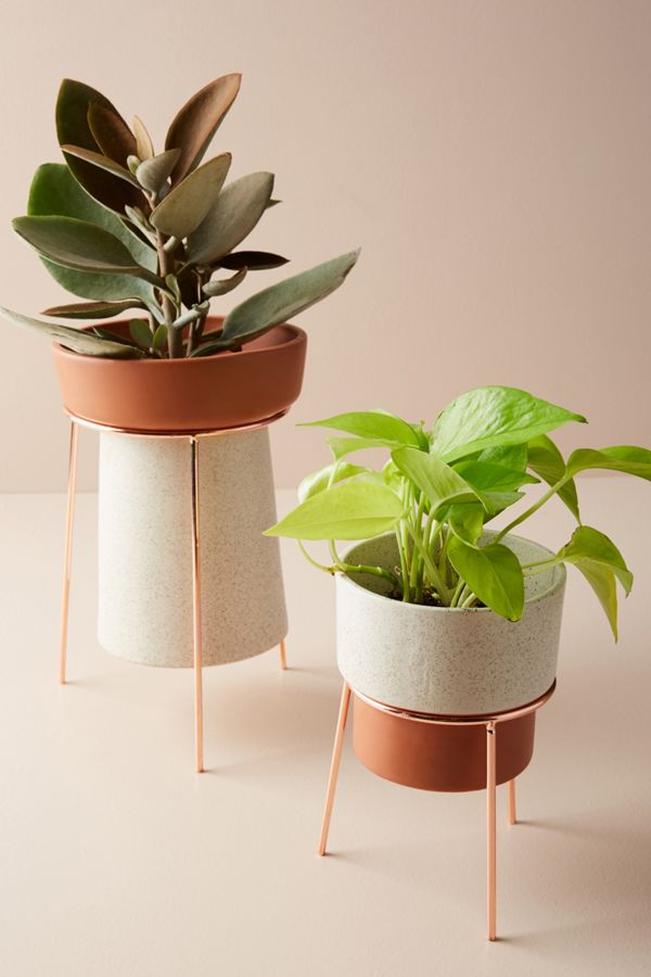 17 Small Indoor Plants And Planter Ideas To Liven Up Your Apartment – The Gorgeous List