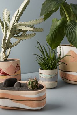 Planters | Plant Stands & Pots for Outdoors | Anthropologie