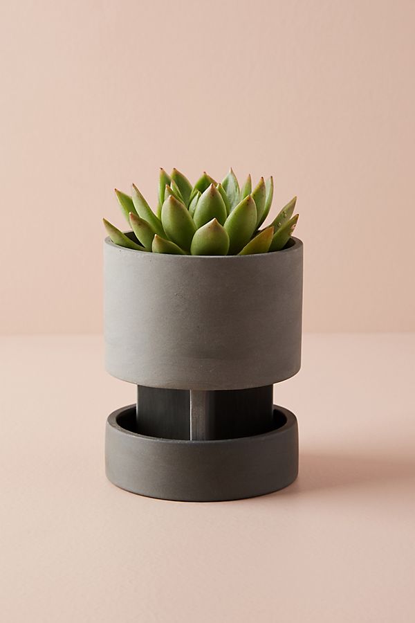 Slide View: 2: Agnes Elevated Planter