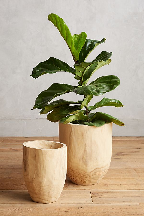 Slide View: 1: Aux Bois Planter Set