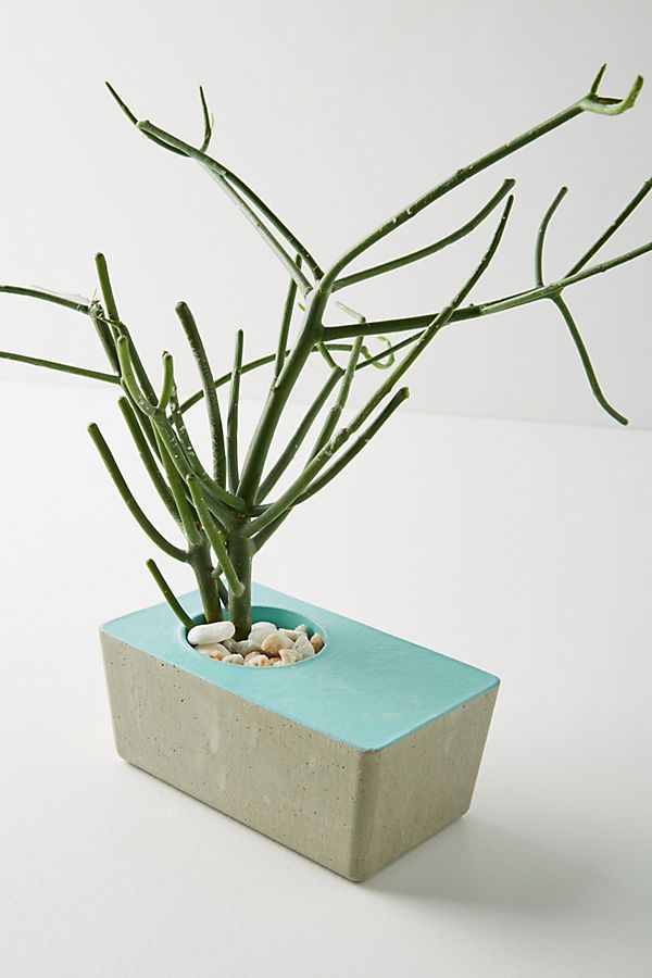 Slide View: 1: Contrast Pot