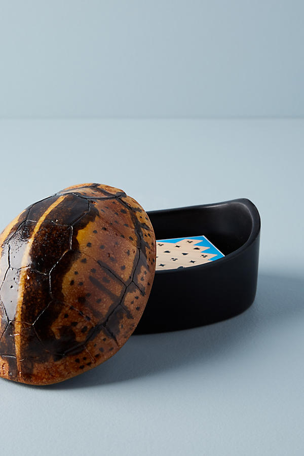 Slide View: 2: Turtle Canister