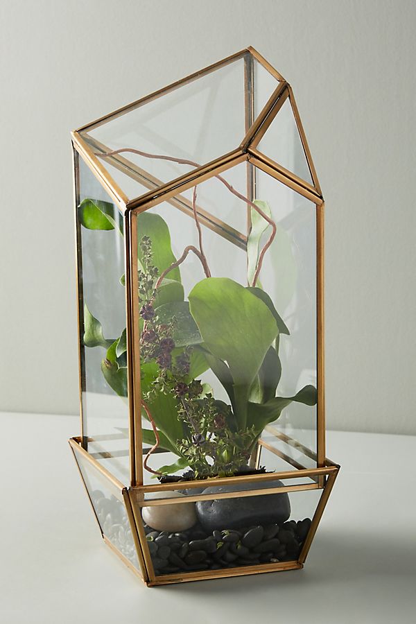 Slide View: 1: Glass Terrarium