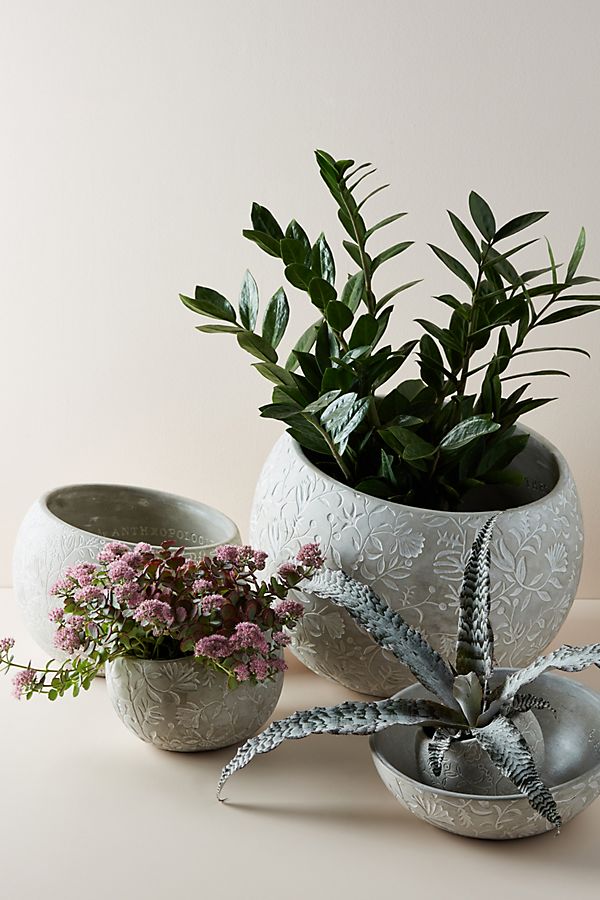 Slide View: 1: Naomi Pot
