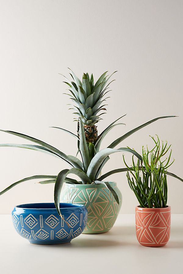 Slide View: 3: Sage Garden Pot