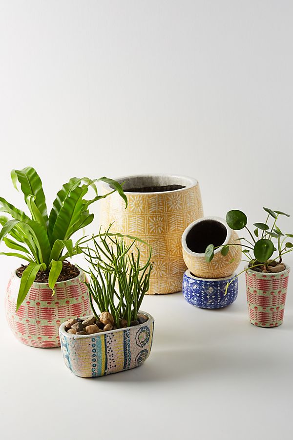 Slide View: 2: Marnie Pot