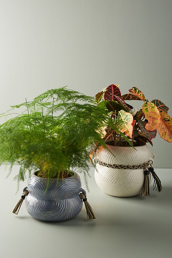 Slide View: 2: Lilah Pot