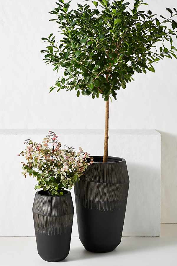 Slide View: 1: Jeva Planter