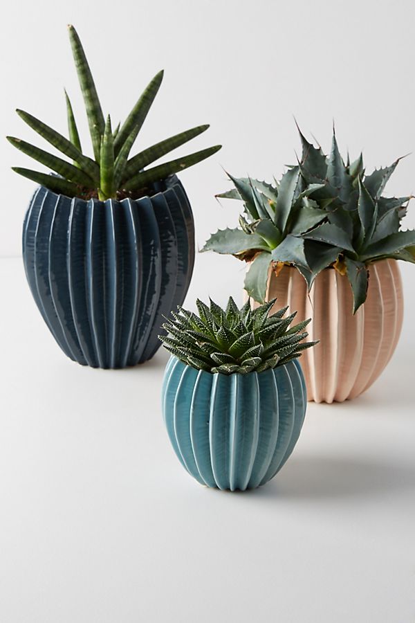 Slide View: 3: Ridged Pot