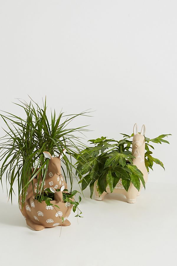 Slide View: 2: Sydney Planter