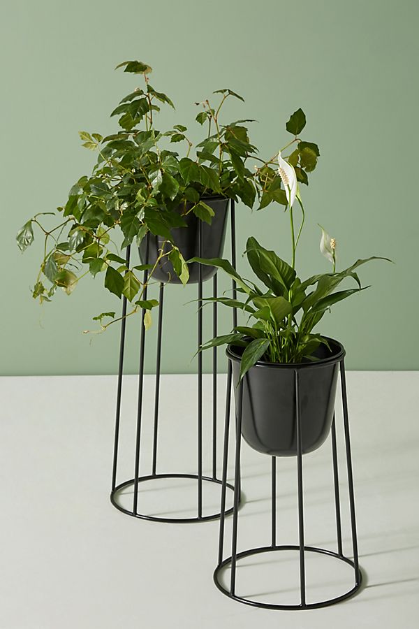 Slide View: 1: Griffard Plant Stand