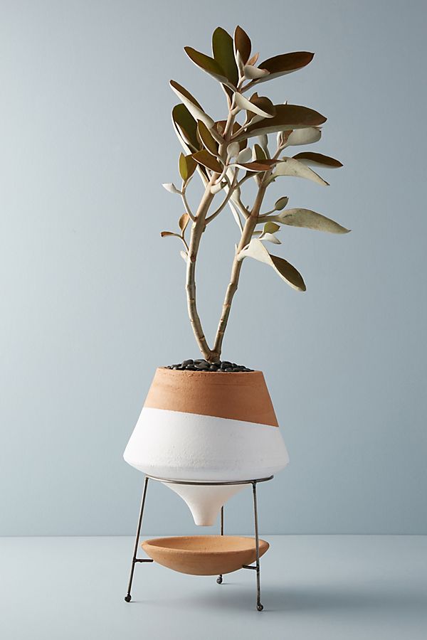 Slide View: 1: Dipped Clay Pot & Stand