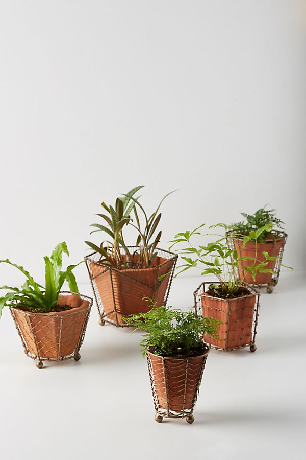 Slide View: 1: Caged Pot Set