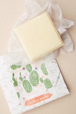 Cactus Water Bar Soap