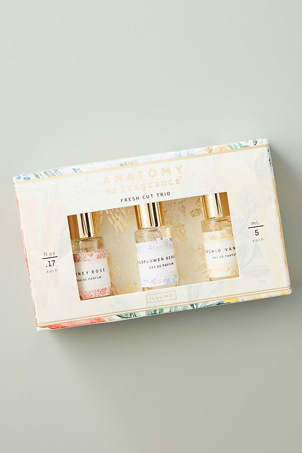 Slide View: 1: Anatomy Of A Fragrance Rollerball Perfume Trio