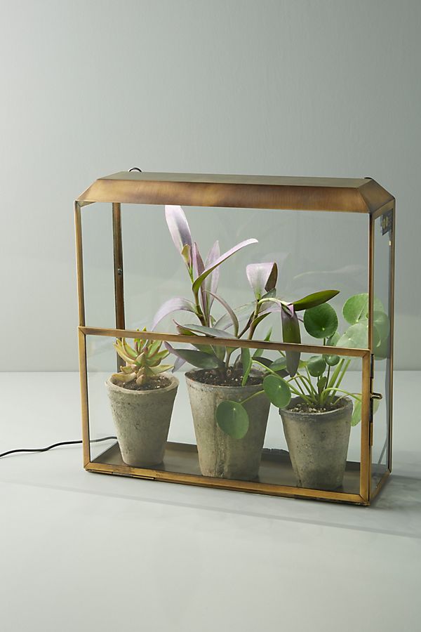 Slide View: 1: Modern Sprout Growhouse Set