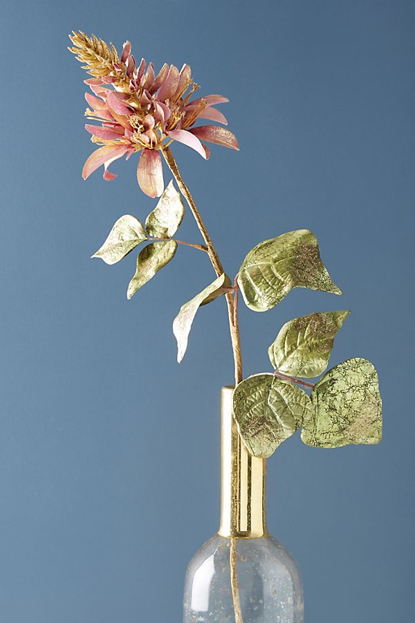 Slide View: 1: Erythrina Stem