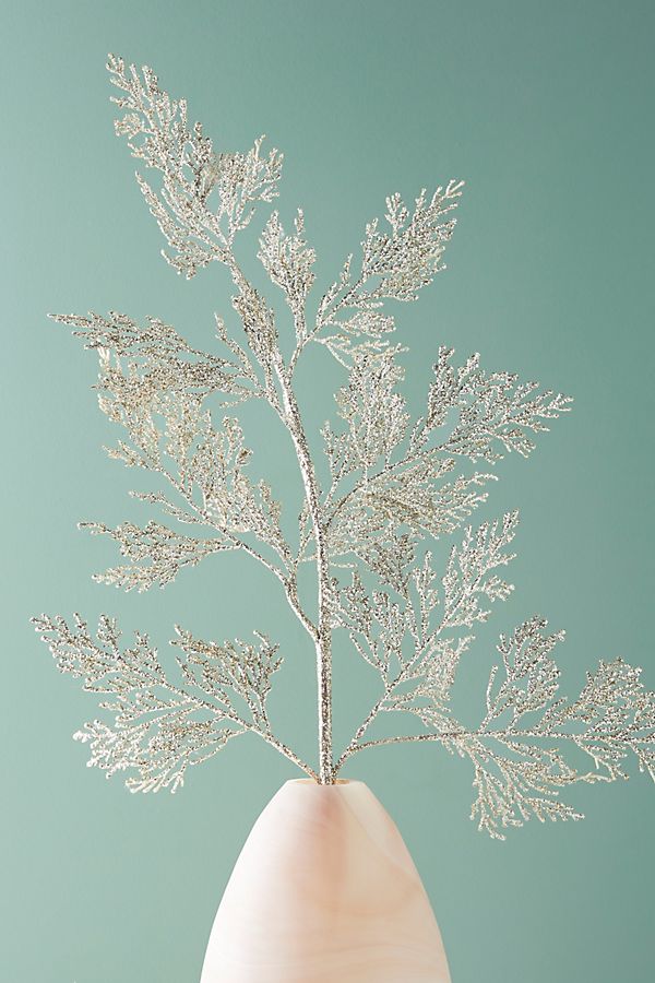 Slide View: 1: Sea Fan Spray