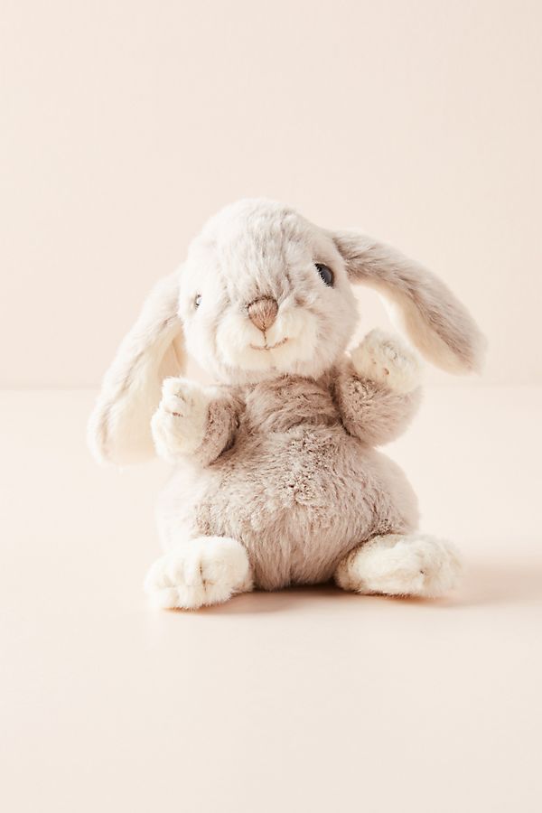 Slide View: 1: Baby Bunny