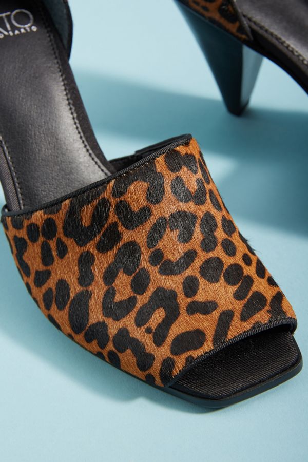 franco sarto reeve leopard
