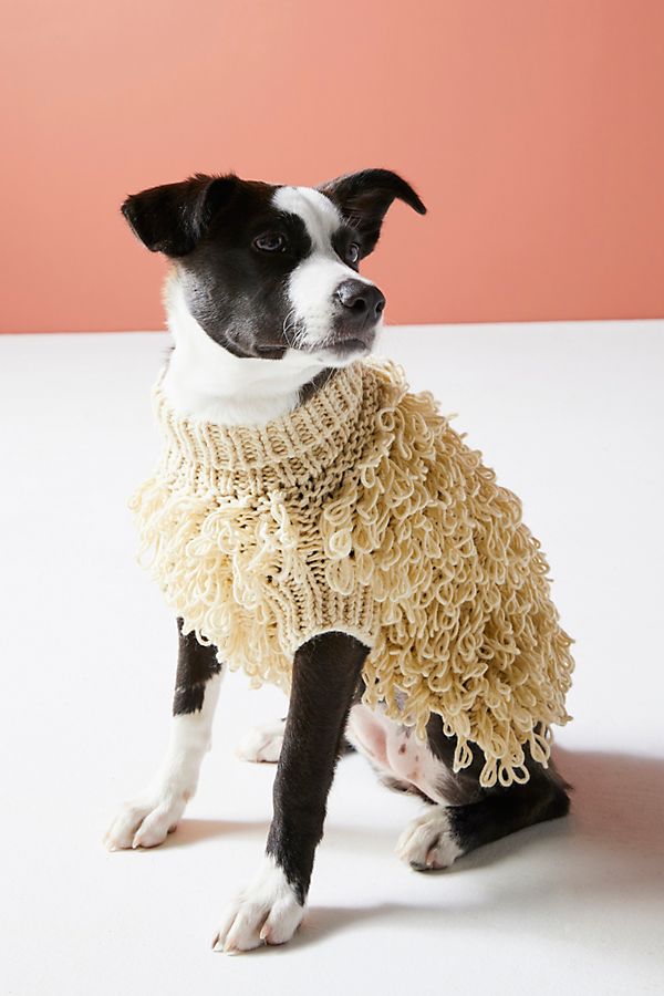 Slide View: 1: Curly Dog Sweater