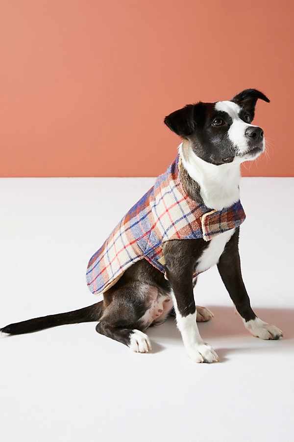 Slide View: 1: Porter Plaid Dog Coat