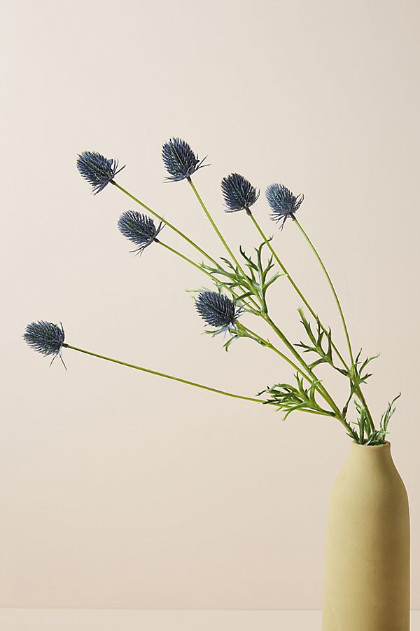 Slide View: 1: Blue Thistle Stem