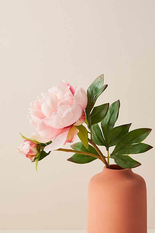 Slide View: 1: Pink Peony Stem
