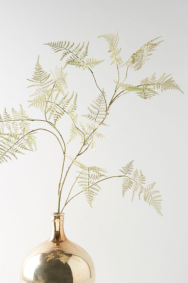 Slide View: 1: Gold Asparagus Spray