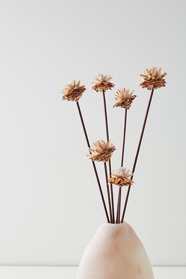 Slide View: 1: Dried Plumosum Bouquet