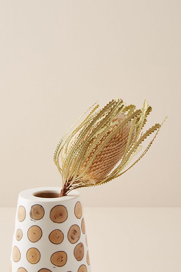 Slide View: 1: Dried Banksia Flower Stem