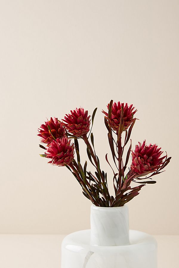 Slide View: 1: Dried Plumosum Bouquet