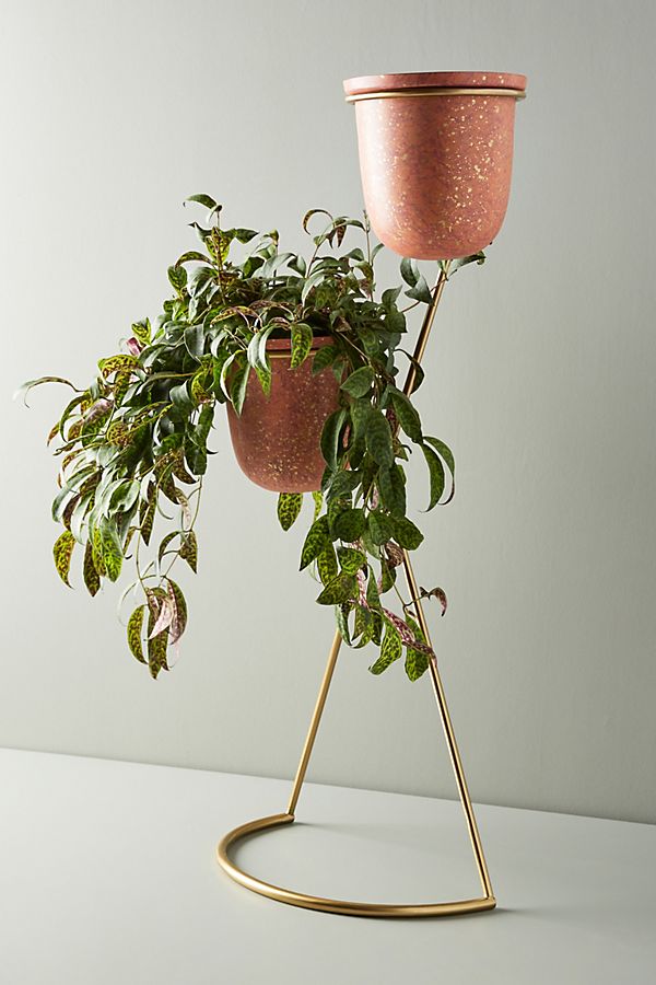 Slide View: 1: Paula Plant Stand