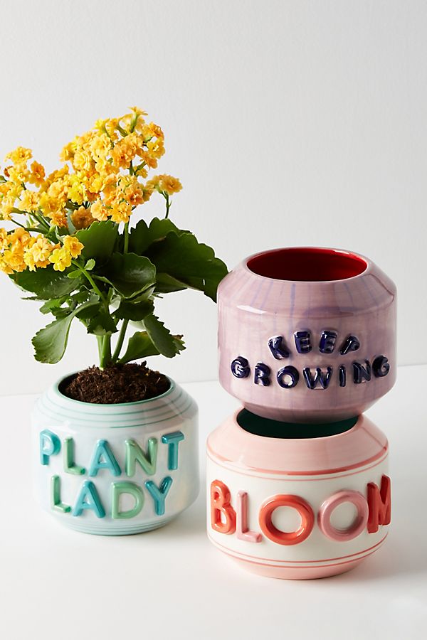 Slide View: 2: Garden Greeting Pot