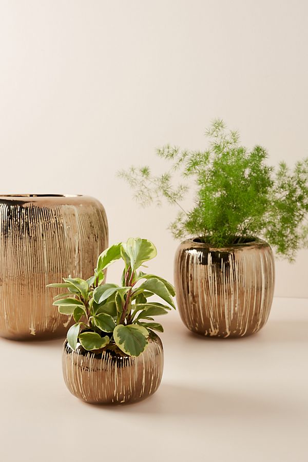 Slide View: 7: Copper-Striped Pot