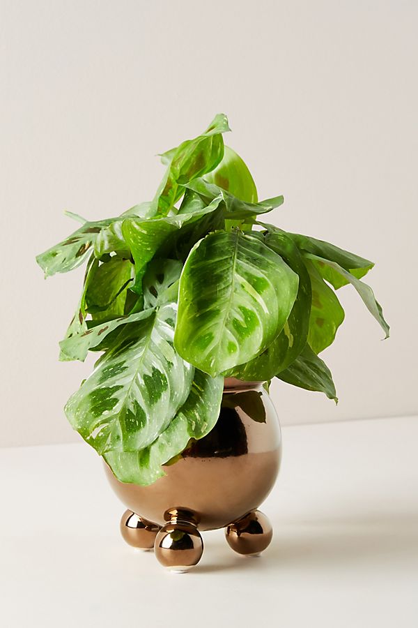 Slide View: 2: Three-Footed Pot