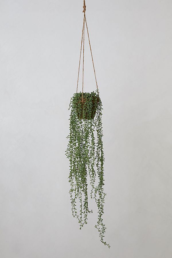 Slide View: 1: Faux Trailing Potted Plant