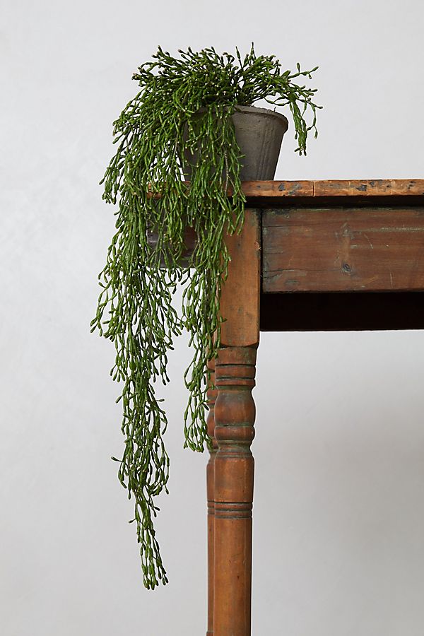 Slide View: 1: Faux Potted Trailing Plant