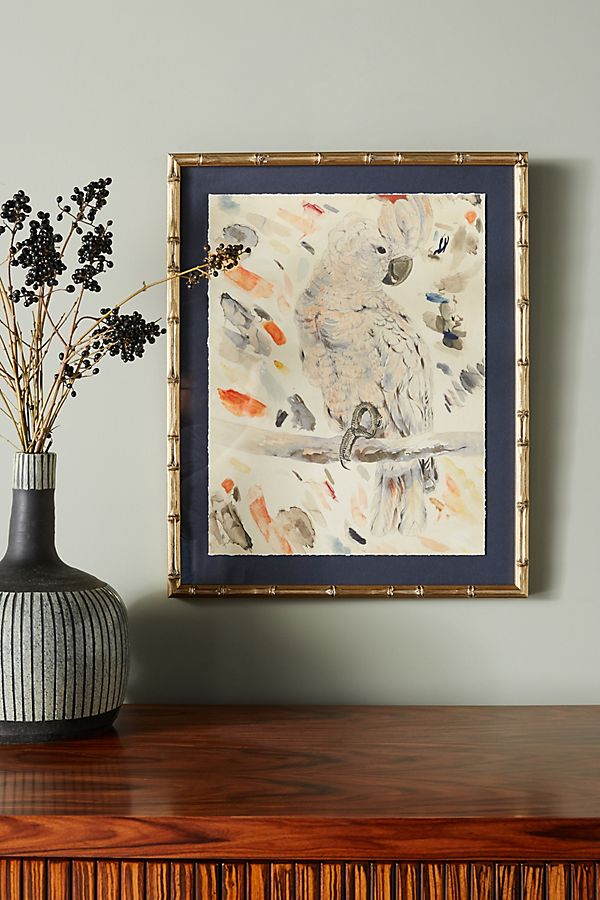 Slide View: 1: Parrot Studies Wall Art