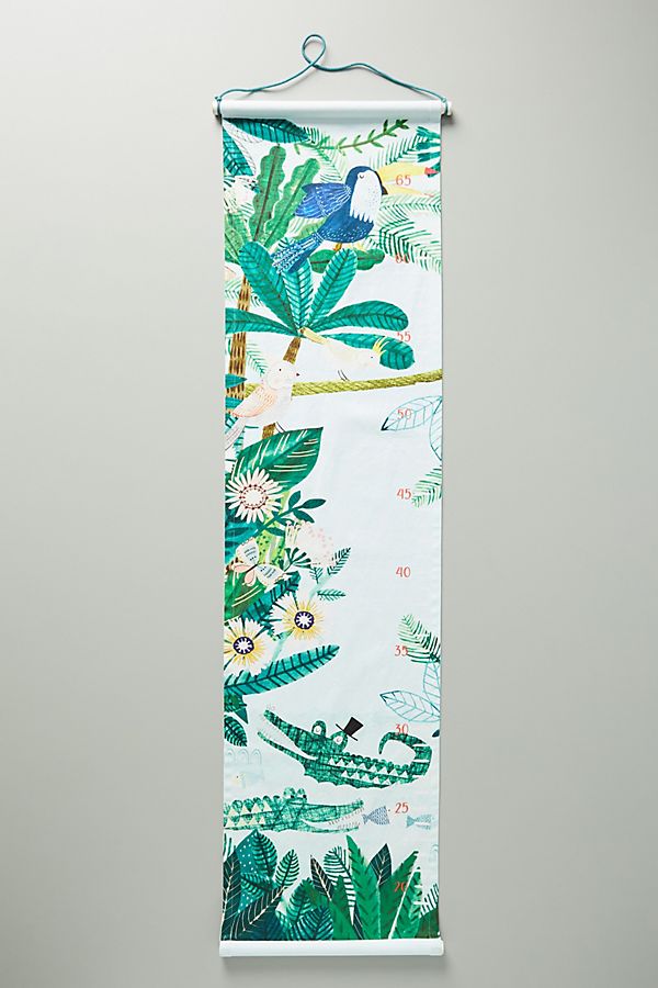 Slide View: 1: Rainforest Growth Chart